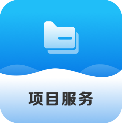 项目服务